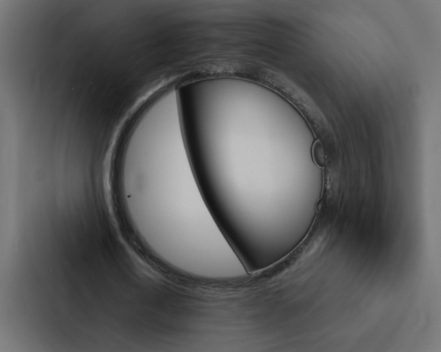 X0000088230722200705151048