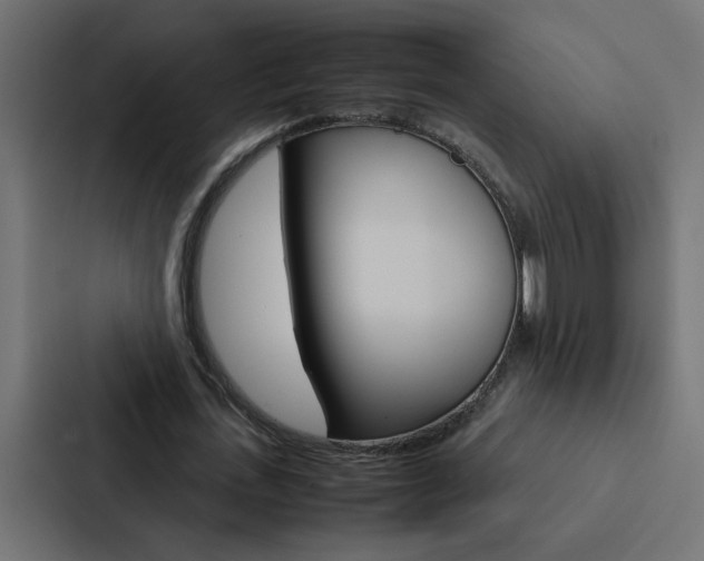 X0000088230723200705151048