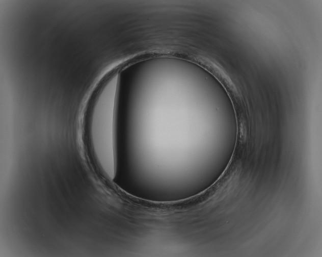 X0000088230724200705151048