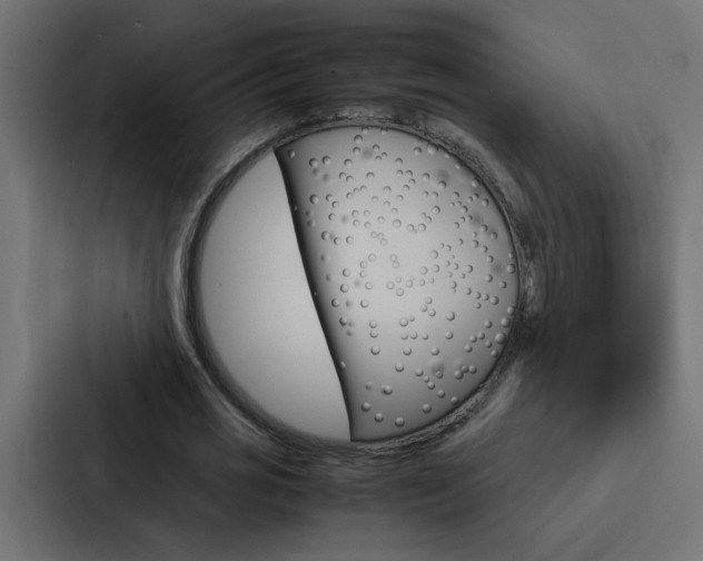 X0000088230725200705151048