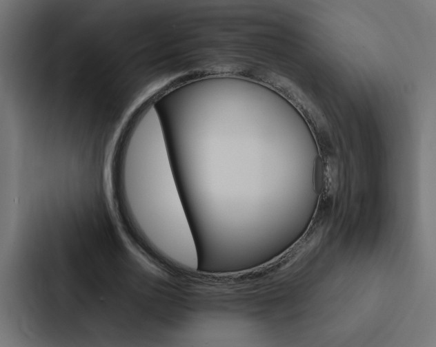 X0000088230726200705151048