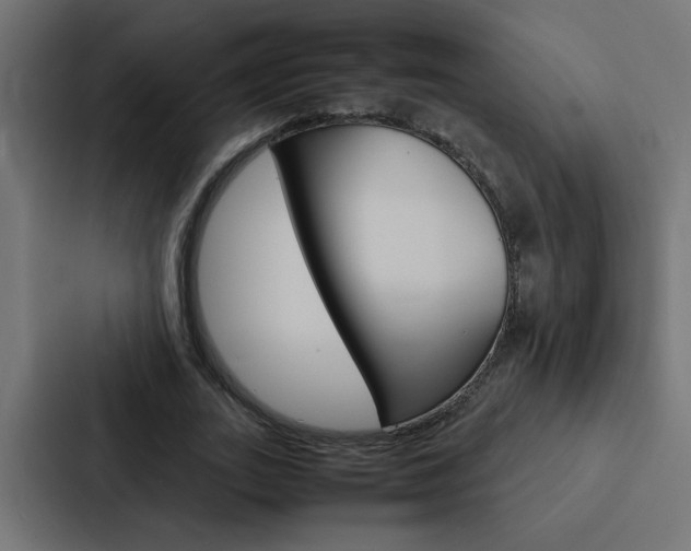 X0000088230727200705151048