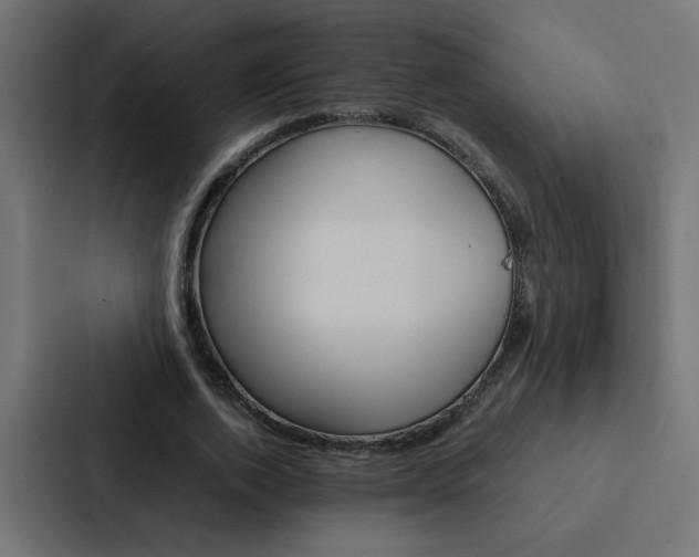 X0000088230728200705151048