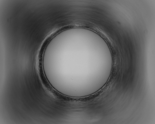 X0000088230730200705151048