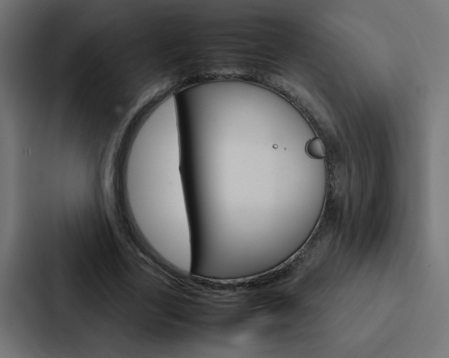 X0000088230731200705151048