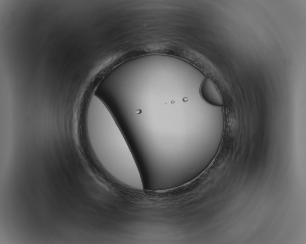 X0000088230732200705151048