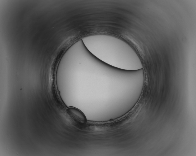 X0000088230733200705151048