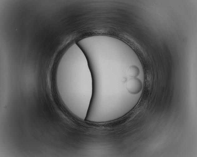 X0000088230734200705151048