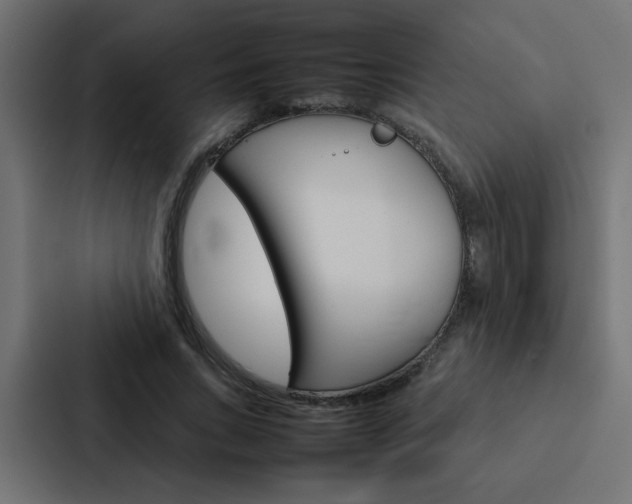 X0000088230735200705151048