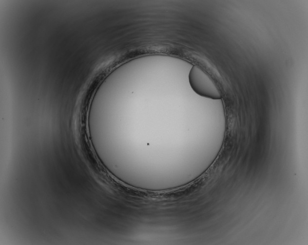 X0000088230736200705151048