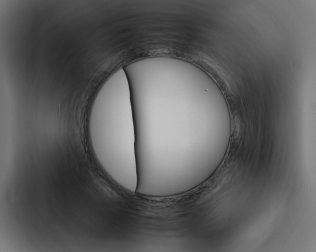 X0000088230737200705151048