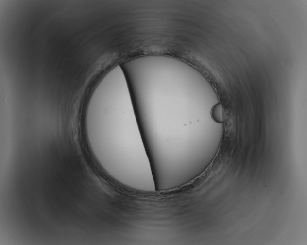 X0000088230738200705151048