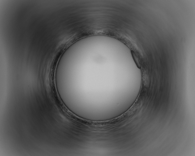 X0000088230740200705151048