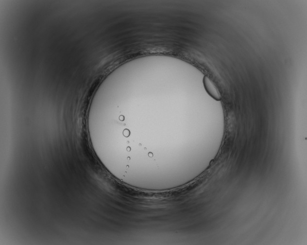 X0000088230741200705151048