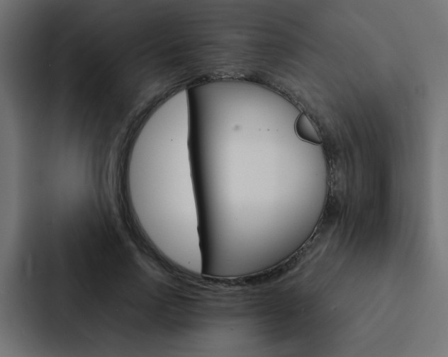 X0000088230742200705151048