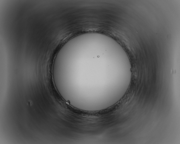 X0000088230743200705151048