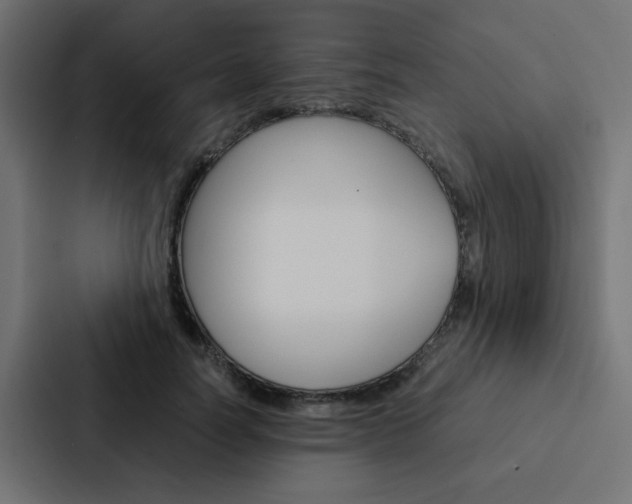X0000088230746200705151048