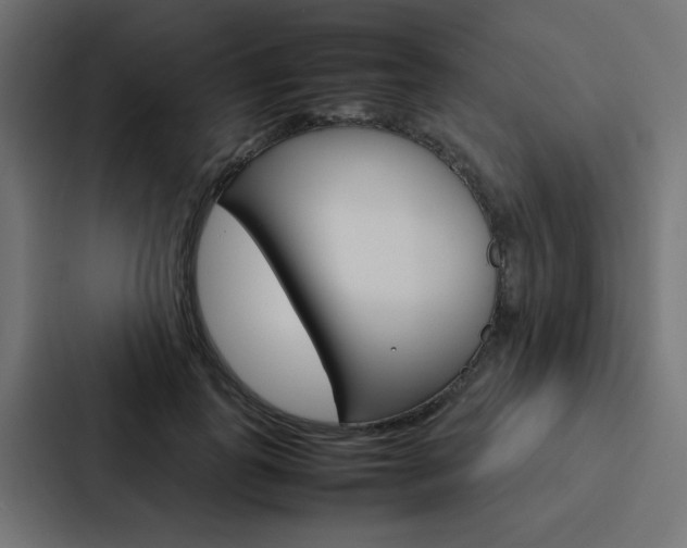 X0000088230747200705151048