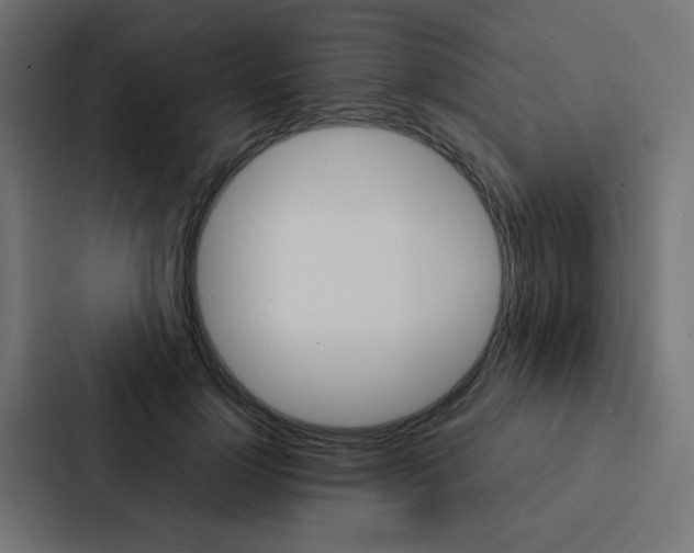 X0000088230748200705151048