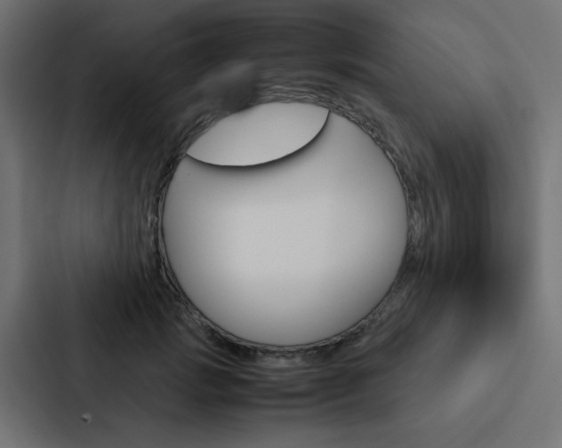 X0000088230749200705151048