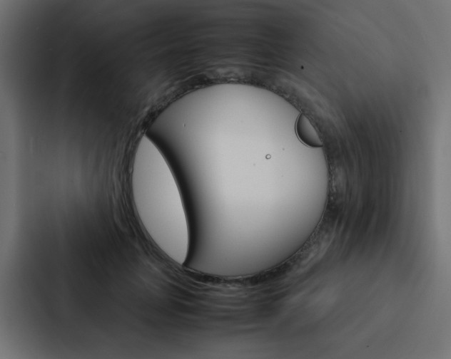 X0000088230751200705151048