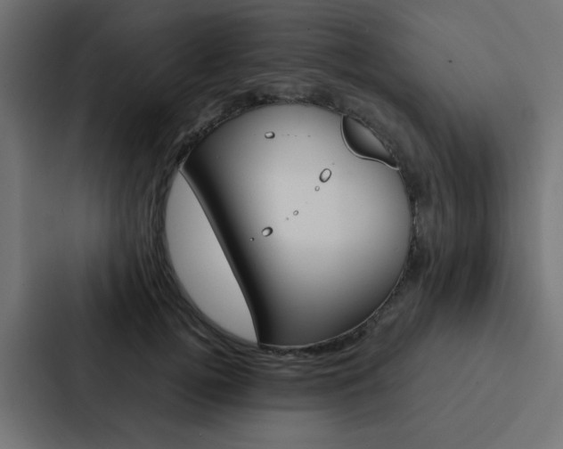 X0000088230752200705151048