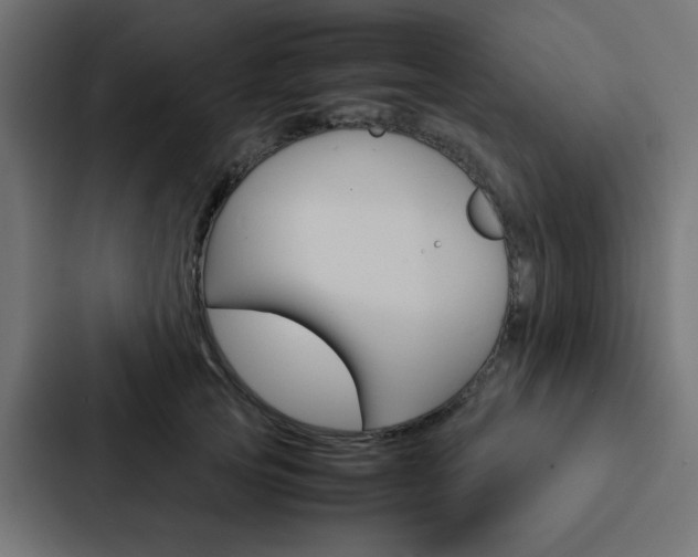X0000088230753200705151048