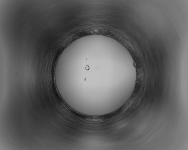 X0000088230754200705151048