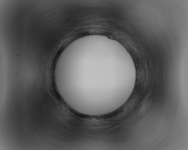 X0000088230755200705151048