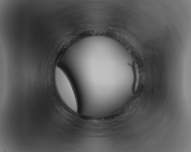 X0000088230756200705151049