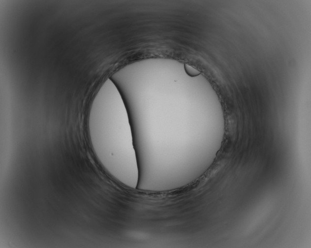 X0000088230757200705151049