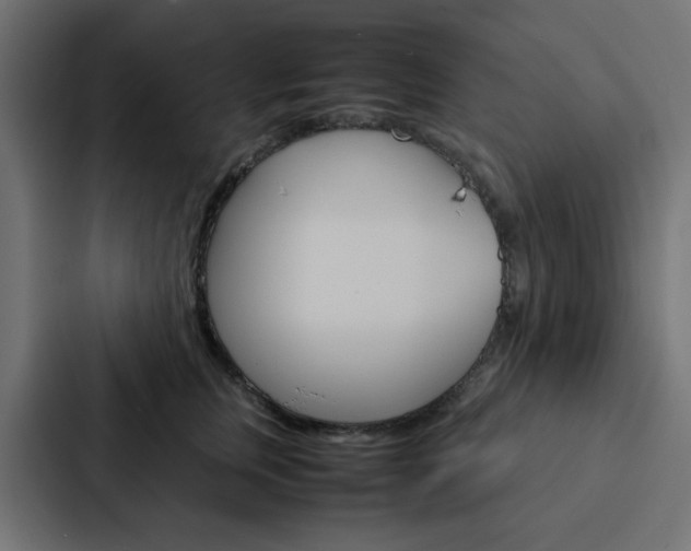X0000088230759200705151049