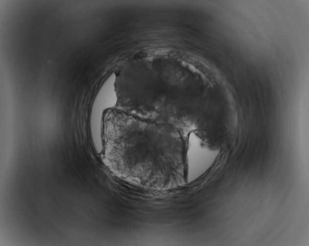 X0000088230761200705151049