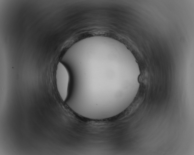 X0000088230763200705151049