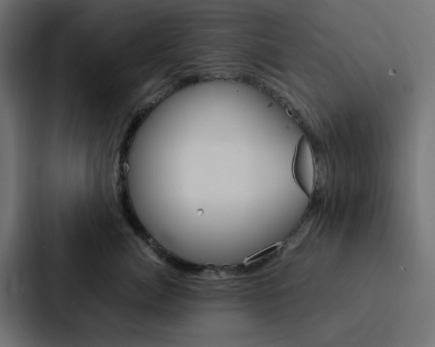 X0000088230764200705151049