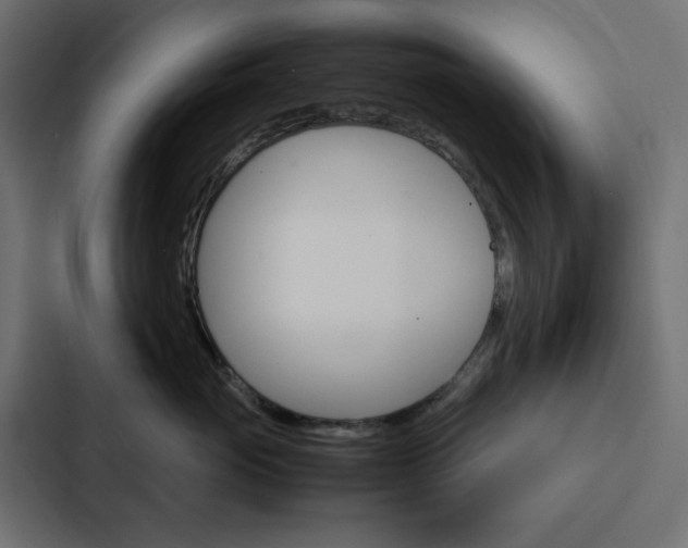 X0000088230765200705151049