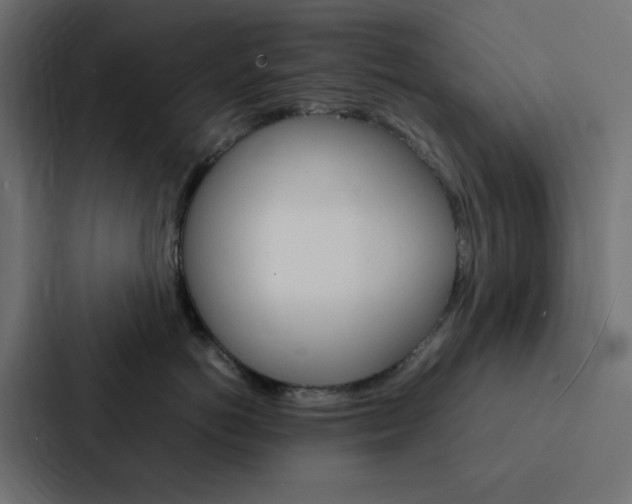 X0000088230766200705151049