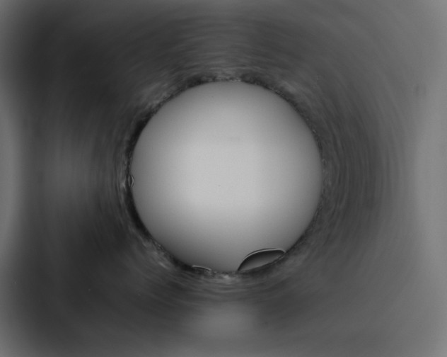 X0000088230768200705151049
