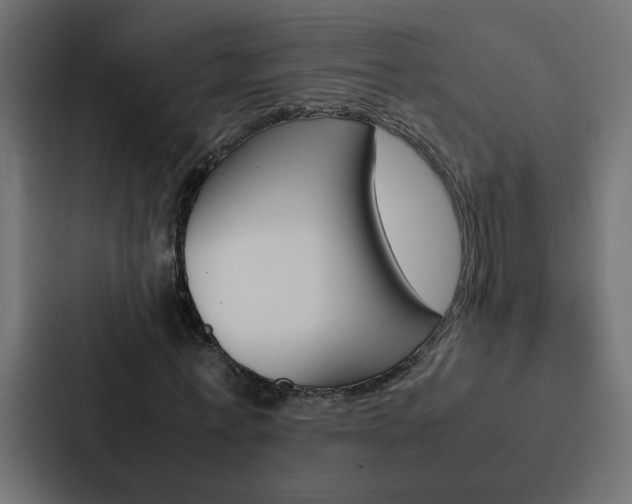 X0000088230771200705151048