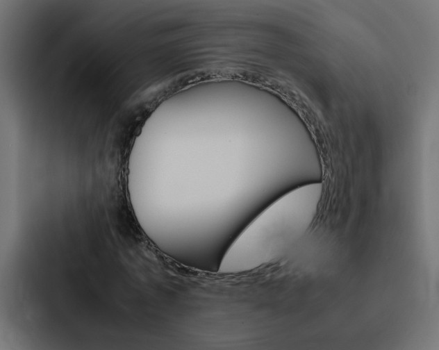 X0000088230773200705151048