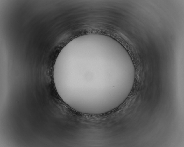 X0000088230774200705151048