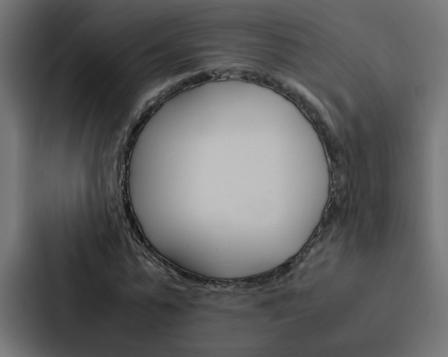 X0000088230775200705151048