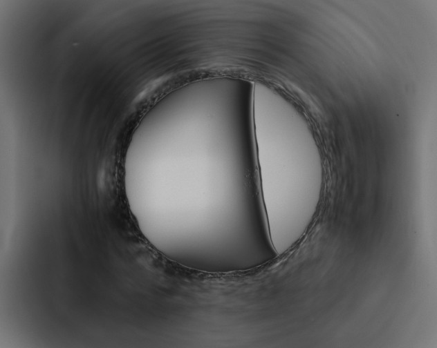 X0000088230776200705151048