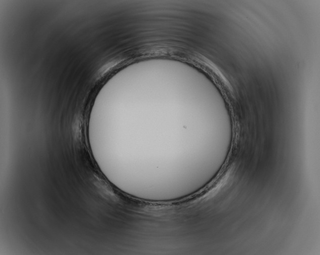 X0000088230778200705151048