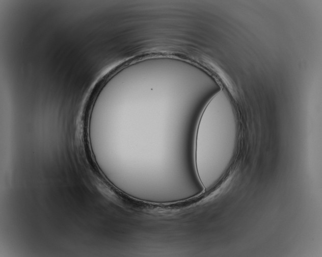 X0000088230779200705151048