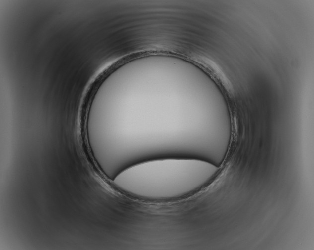 X0000088230780200705151048