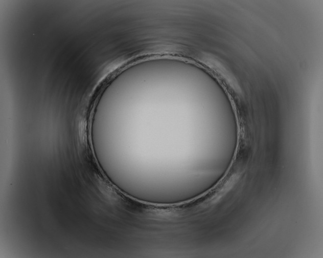 X0000088230781200705151048