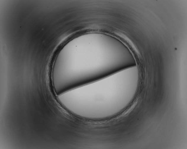 X0000088230783200705151048