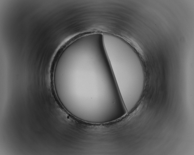 X0000088230784200705151048