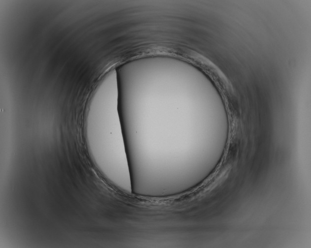 X0000088230785200705151048